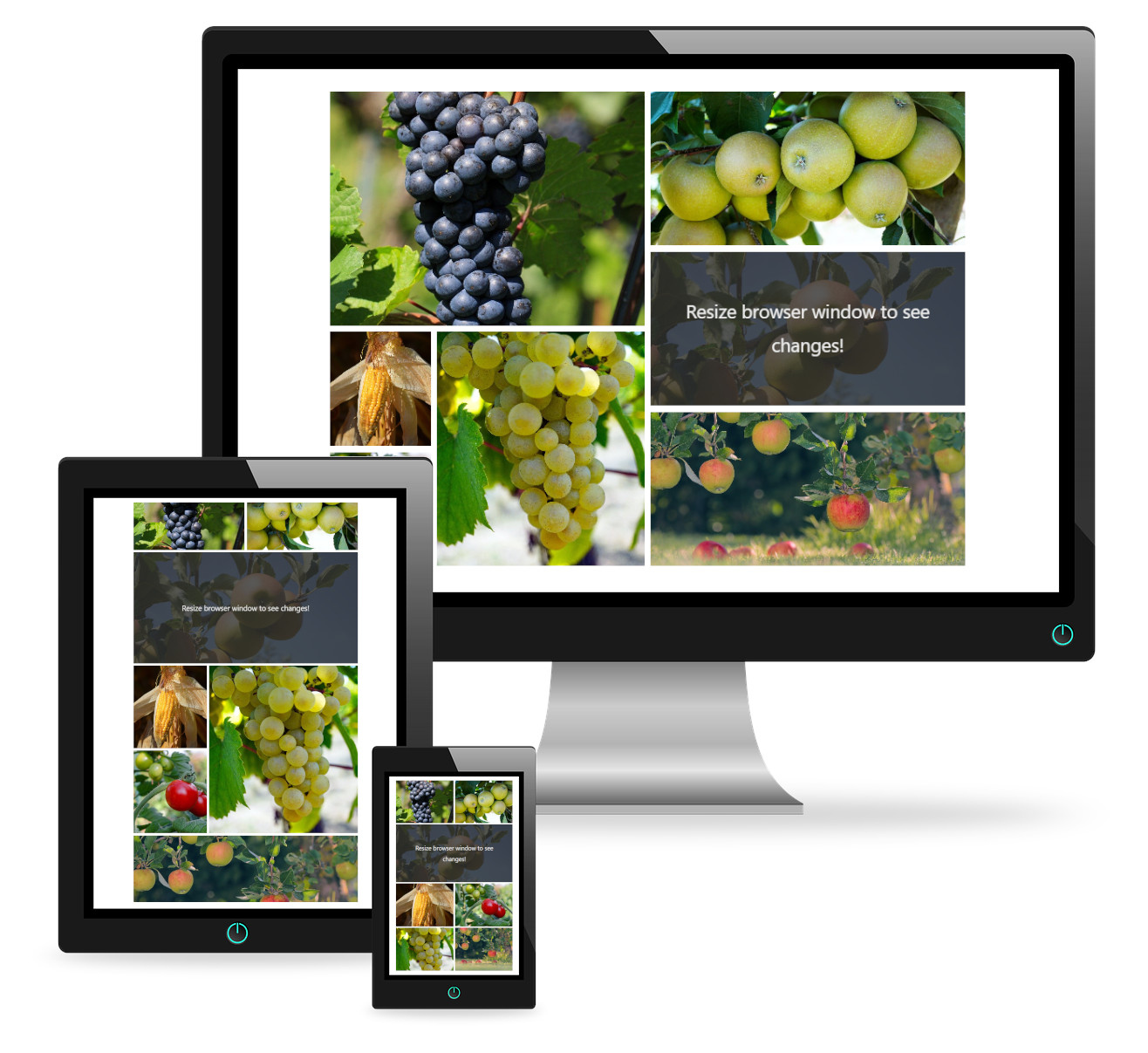 WPCollageMagic - Photo Collage Builder For WordPress - 3
